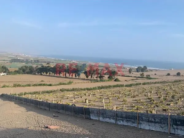 Terrenos agrícolas